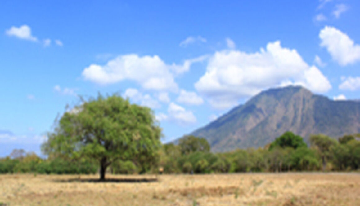 travel malang semarang