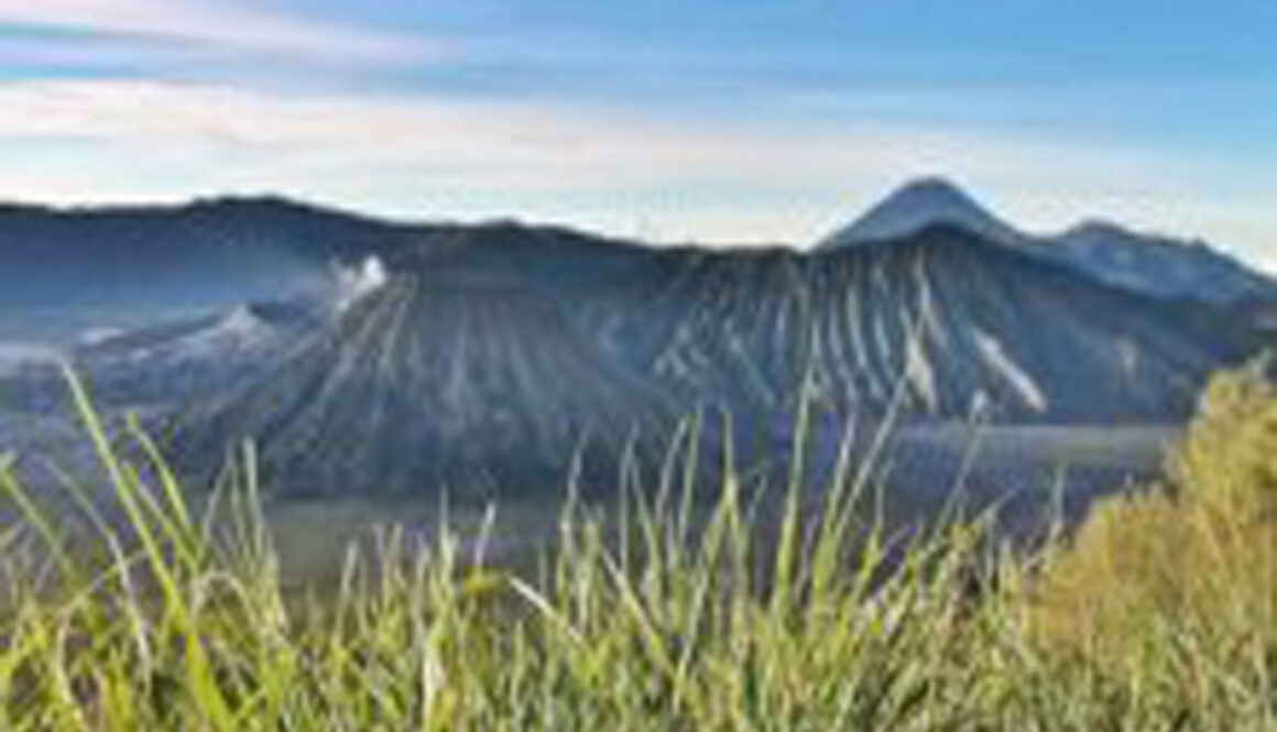 travel malang semarang