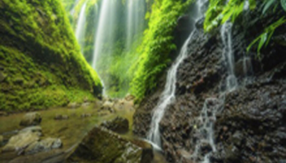 travel blitar semarang