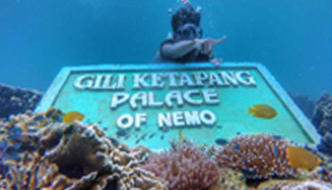 travel semarang malang